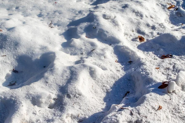 Vit Snö Vinter Bakgrund — Stockfoto