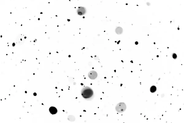 白色背景模糊的黑色波克 — 图库照片