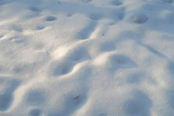 Neve Terra Fundo Inverno — Fotografia de Stock