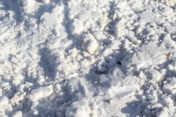 Белый Снег Зимний Фон — стоковое фото