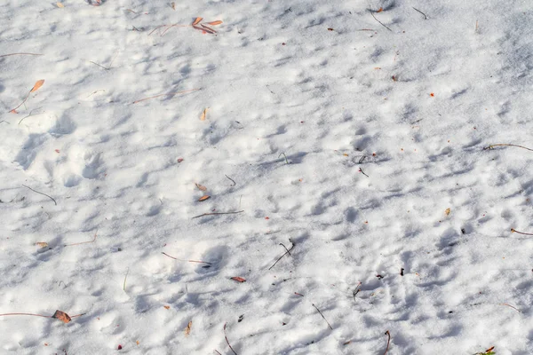 Weißer Schnee Winter Hintergrund — Stockfoto