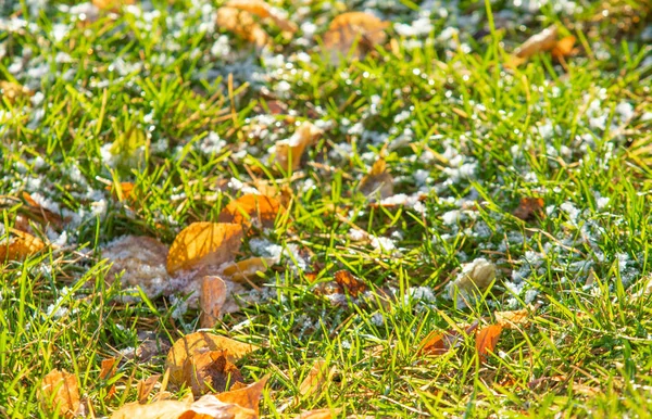 Verde Erba Neve Offuscata Sfondo Bokeh — Foto Stock