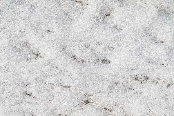 Weißer Schnee Winter Hintergrund — Stockfoto