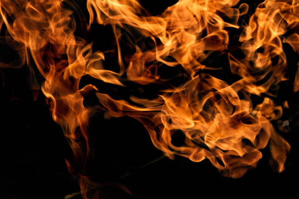 Fire flames on a black background