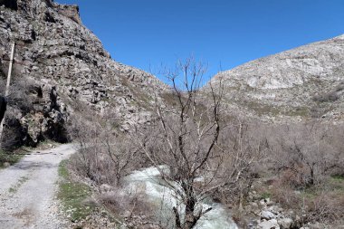 Nehir dağlarda, erken bahar