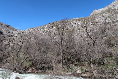 Nehir dağlarda, erken bahar