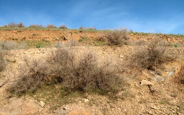 yeşil bozkır tepelerinin doğal görünümü
