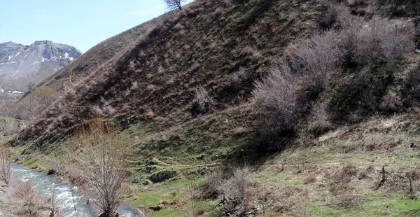 Montañas Piedras Colinas Prados Verdes Paisaje Primavera —  Fotos de Stock