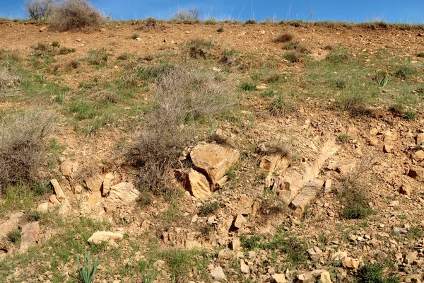 yeşil bozkır tepelerinin doğal görünümü