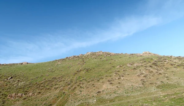 Yeşil Bozkır Tepelerinin Doğal Görünümü — Stok fotoğraf