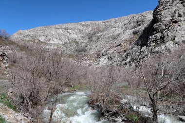 Nehir dağlarda, erken bahar