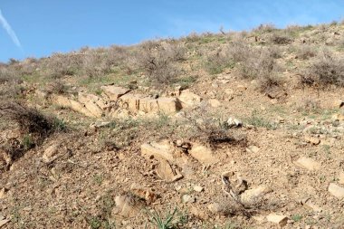 yeşil bozkır tepelerinin doğal görünümü