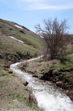 Nehir dağlarda, erken bahar