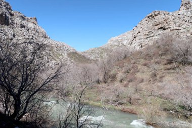 Nehir dağlarda, erken bahar