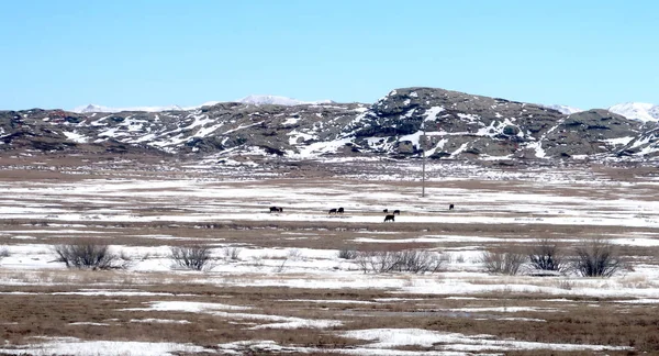 Snö Våren Stäppen Hills — Stockfoto