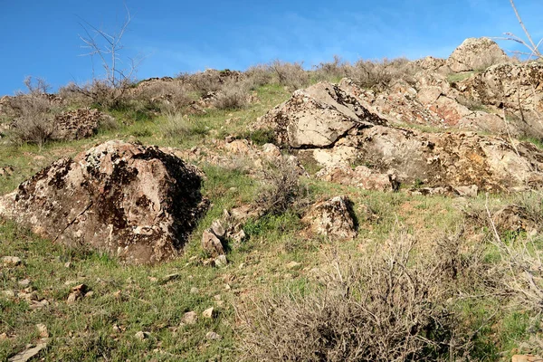 Vacker Utsikt Över Gröna Stäppen Hills — Stockfoto