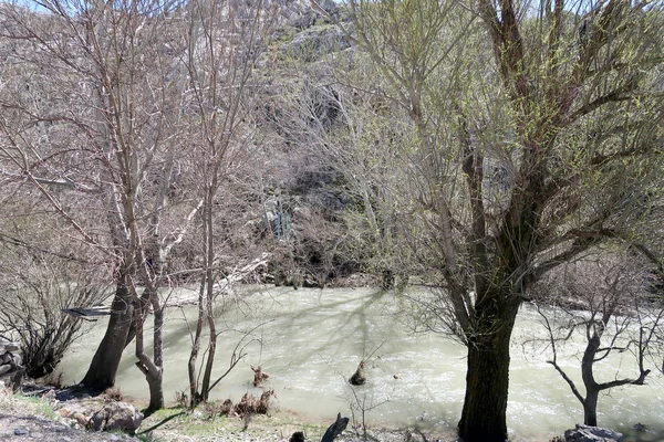 Fluss Den Bergen Vorfrühling — Stockfoto