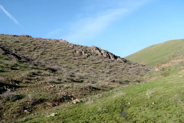 Vue Panoramique Sur Les Collines Verdoyantes Steppe — Photo