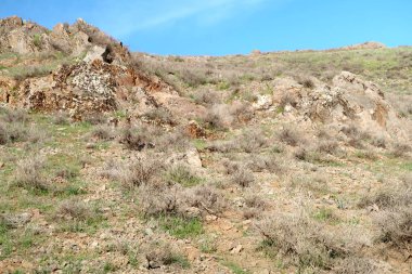 yeşil bozkır tepelerinin doğal görünümü