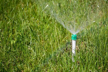 Sulama sistemi yeşil çim sulama