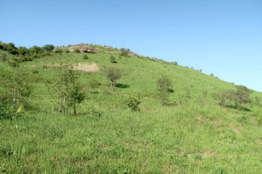 Yeşil tepeler tepeler bahar