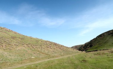 yeşil bozkır tepelerinin doğal görünümü