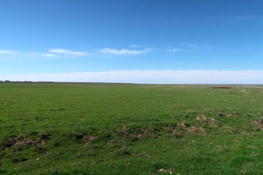 Yeşil çayır çimen ekilebilir, bahar