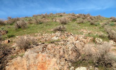 yeşil bozkır tepelerinin doğal görünümü