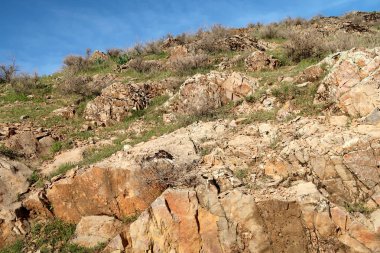 yeşil bozkır tepelerinin doğal görünümü
