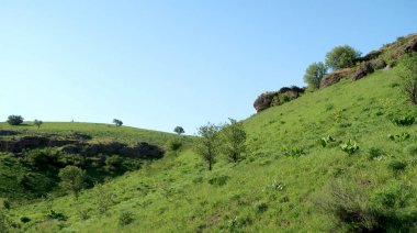 Yeşil tepeler tepeler bahar