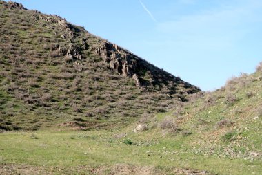 yeşil bozkır tepelerinin doğal görünümü