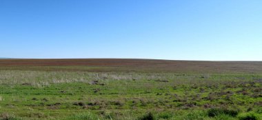 Yeşil çayır çimen ekilebilir, bahar