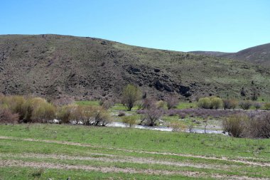 Dağlar taşlar, hills, çayırlar, bahar manzara