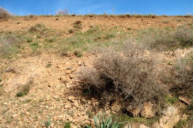 yeşil bozkır tepelerinin doğal görünümü