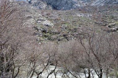 Nehir dağlarda, erken bahar