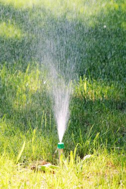 Sulama sistemi yeşil çim sulama