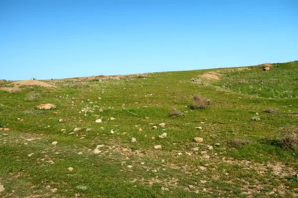 Vue Panoramique Sur Les Collines Verdoyantes Steppe — Photo