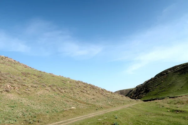 yeşil bozkır tepelerinin doğal görünümü