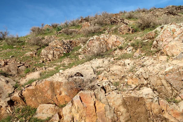 yeşil bozkır tepelerinin doğal görünümü