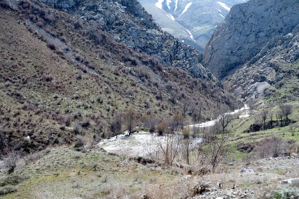 Dağlar Taşlar Hills Çayırlar Bahar Manzara — Stok fotoğraf