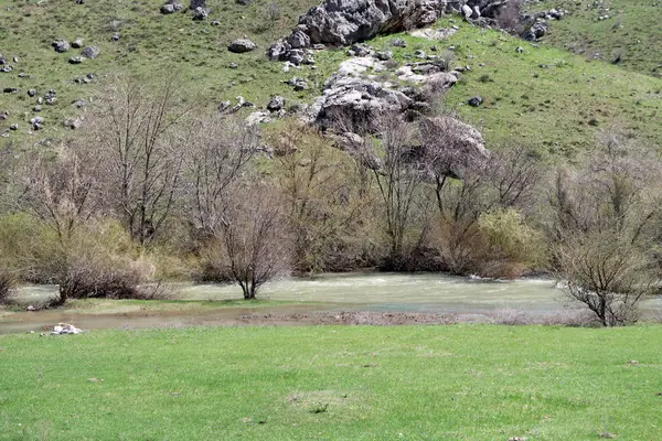 Montanhas Pedras Colinas Prados Verdes Paisagem Primavera — Fotografia de Stock