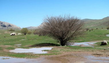 Nehir dağlarda, erken bahar