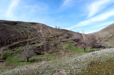 Dağlar taşlar, hills, çayırlar, bahar manzara