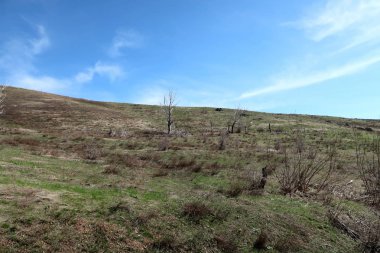 Dağlar taşlar, hills, çayırlar, bahar manzara