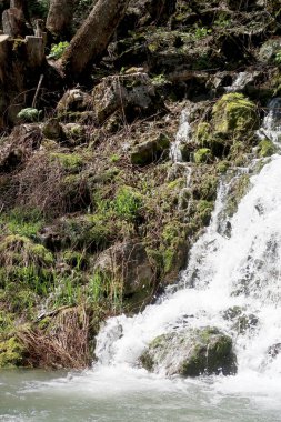 Nehir dağlarda, erken bahar