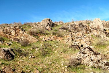 yeşil bozkır tepelerinin doğal görünümü