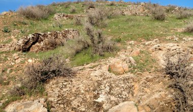 yeşil bozkır tepelerinin doğal görünümü
