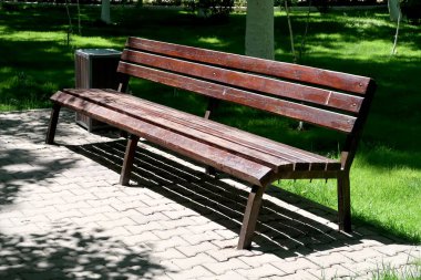 Ahşap Bank park, bahar