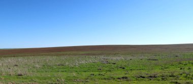 Yeşil çayır çimen ekilebilir, bahar