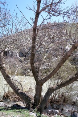 Nehir dağlarda, erken bahar